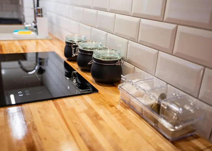 Dzirnavu 아파트 *