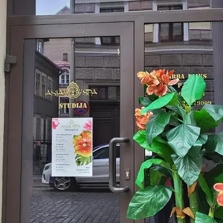 Dzirnavu Apartment